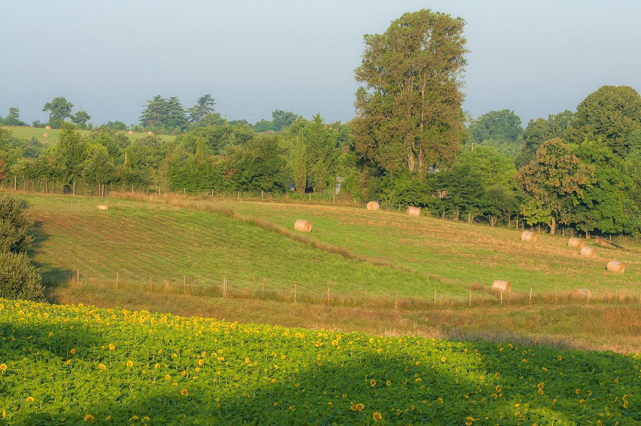 Les Maisons Du Golf D'Armagnac Eauze ภายนอก รูปภาพ